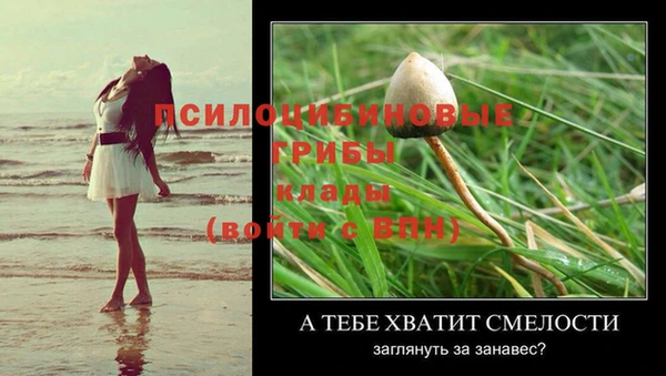 героин Алексин